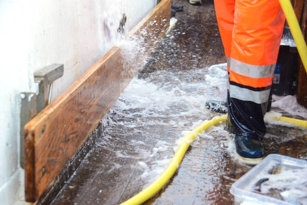 Emergency Water Extraction in Long Beach, CA
