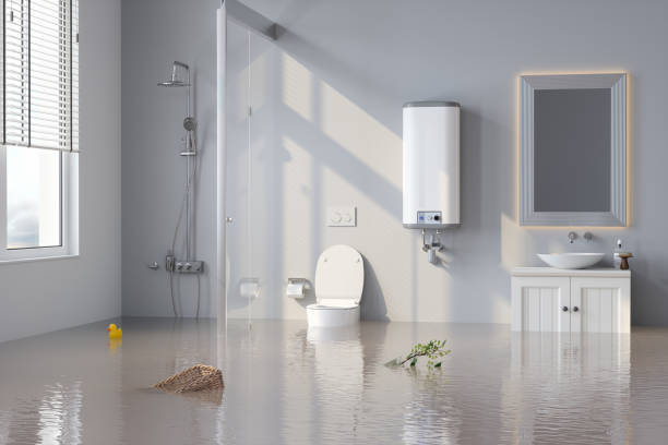Water Damage Restoration in Lakewood