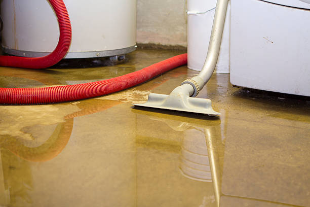 Flood Damage Cleanup