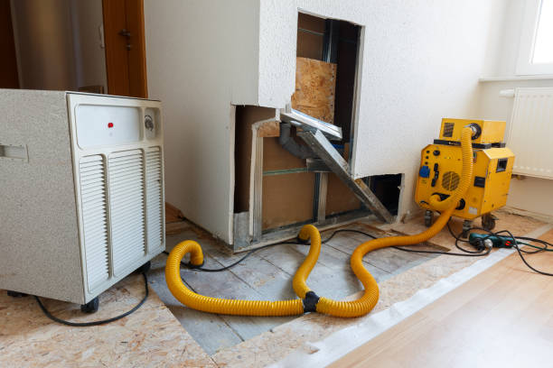 Structural Drying & Dehumidification