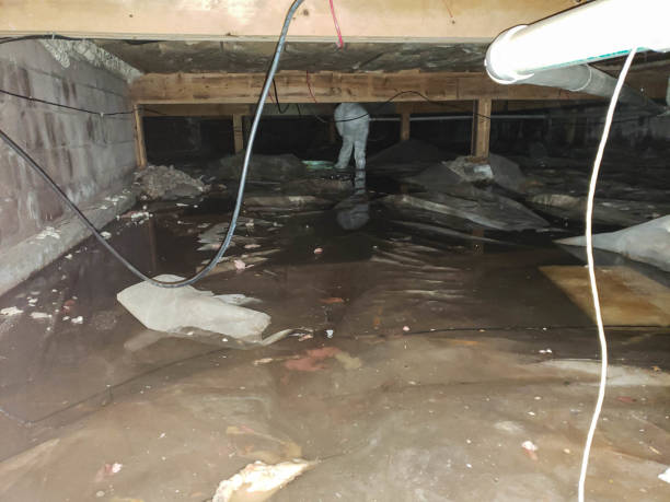 Water Damage Restoration in Cerritos, CA