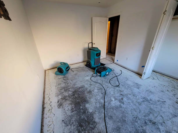 Water Damage Restoration in Downey, CA