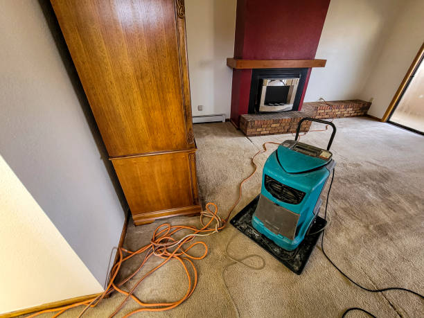 Water Damage Restoration in Norwalk, CA