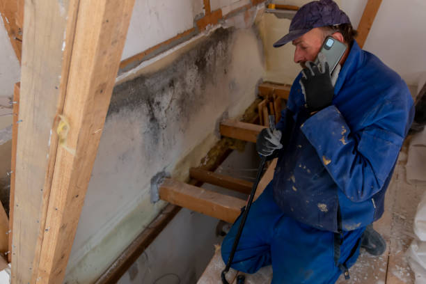 Water Damage Restoration in Paramount, CA​ 1