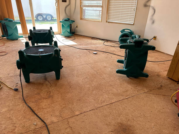 Water Damage Restoration in Paramount, CA​