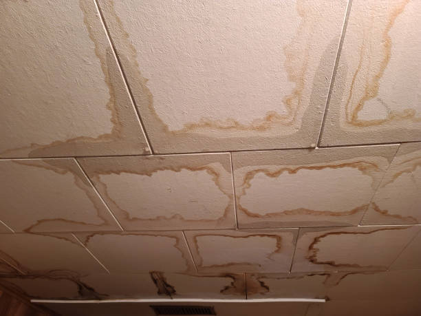 Water Damage Restoration in Signal Hill, CA